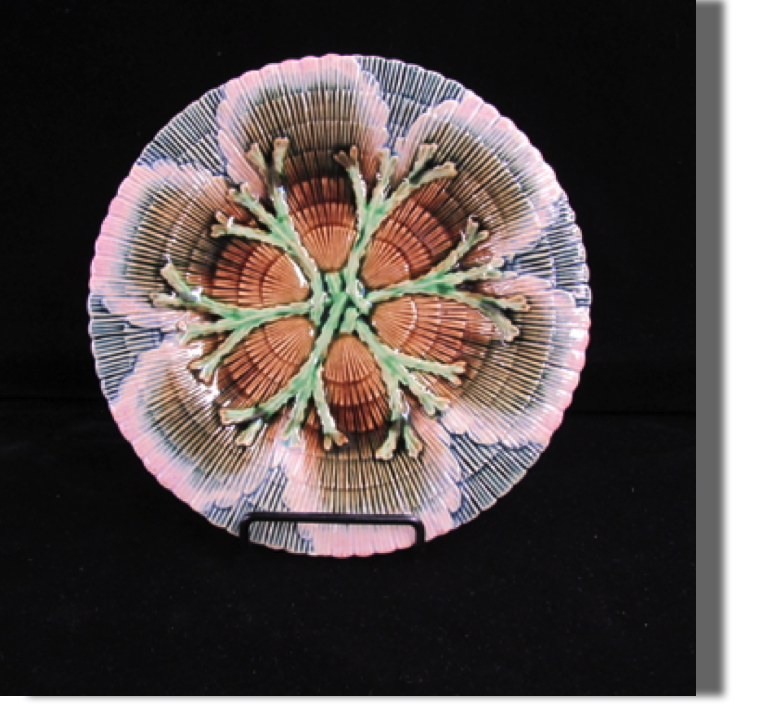 Etruscan Shell & Seaweed
Considered Etruscan's most beautiful line